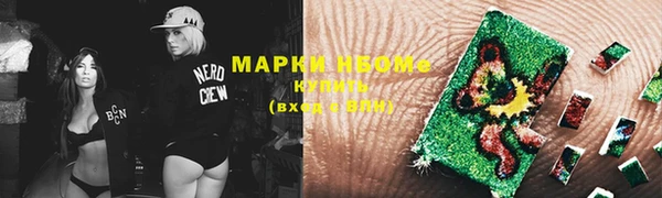 индика Гусь-Хрустальный