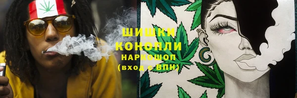 индика Гусь-Хрустальный