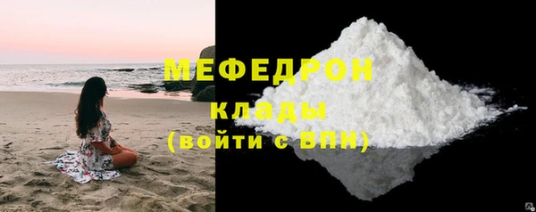 индика Гусь-Хрустальный