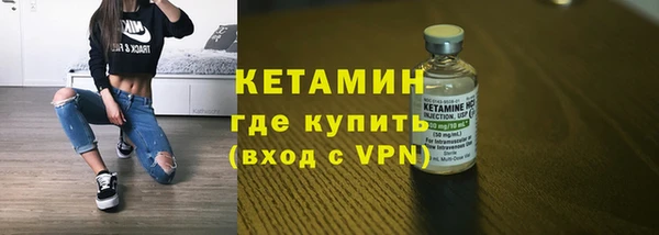 индика Гусь-Хрустальный