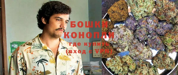 индика Гусь-Хрустальный
