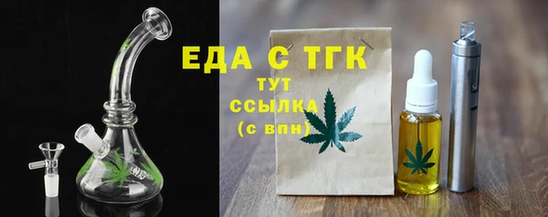 индика Гусь-Хрустальный