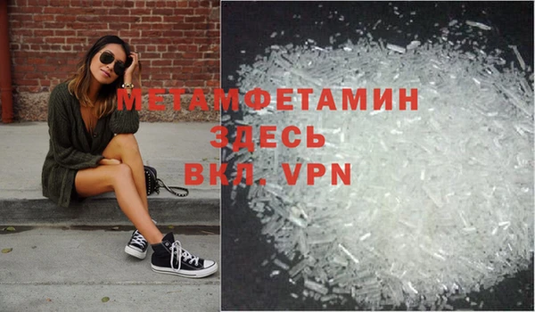индика Гусь-Хрустальный
