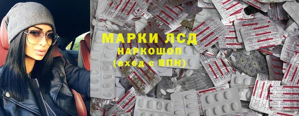 индика Гусь-Хрустальный