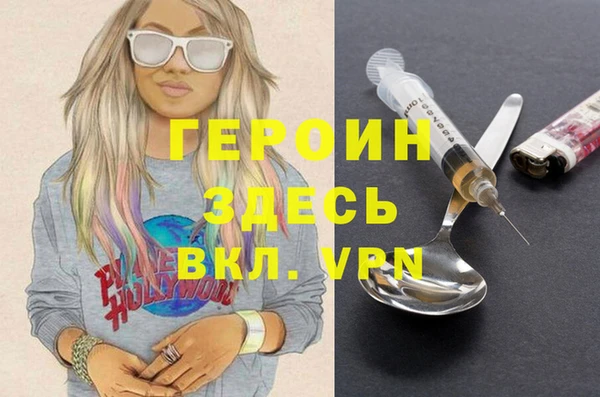 индика Гусь-Хрустальный