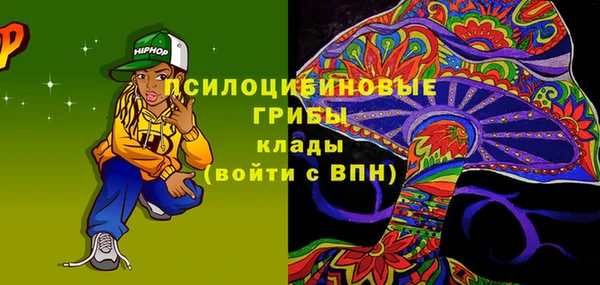 индика Гусь-Хрустальный