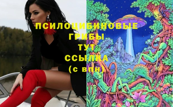MESCALINE Гусиноозёрск