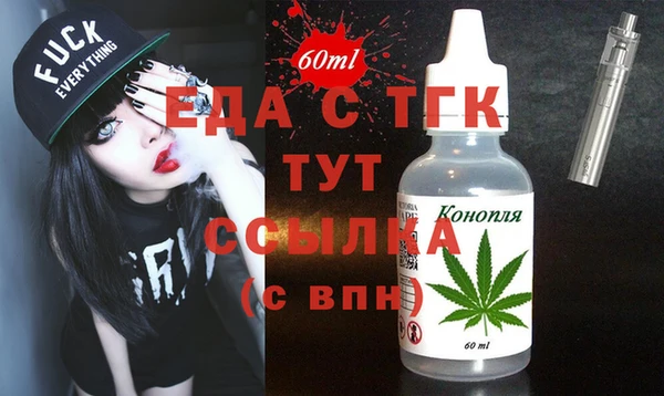 индика Гусь-Хрустальный