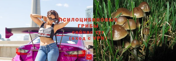 индика Гусь-Хрустальный