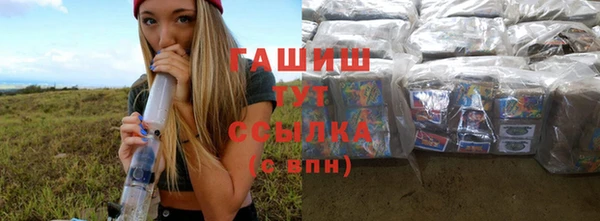 индика Гусь-Хрустальный