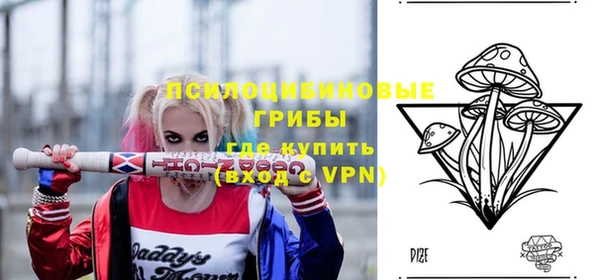 индика Гусь-Хрустальный